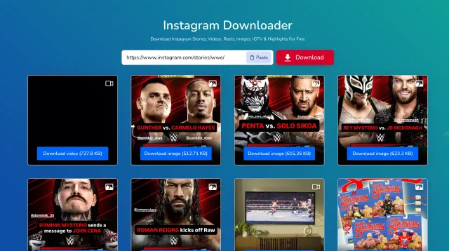 Instagram Story Downloader