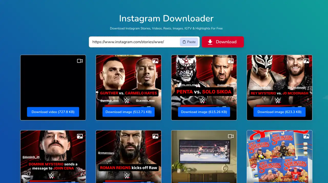 instagram story downloader picuki